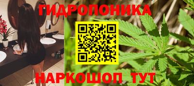 мет Можга