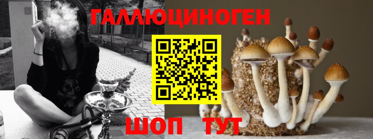 Галлюциногенные грибы Psilocybe  где найти наркотики  Усть-Джегута  Вход с VPN 